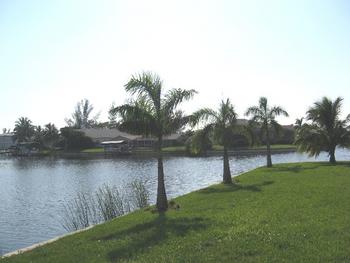 Vacation Rental